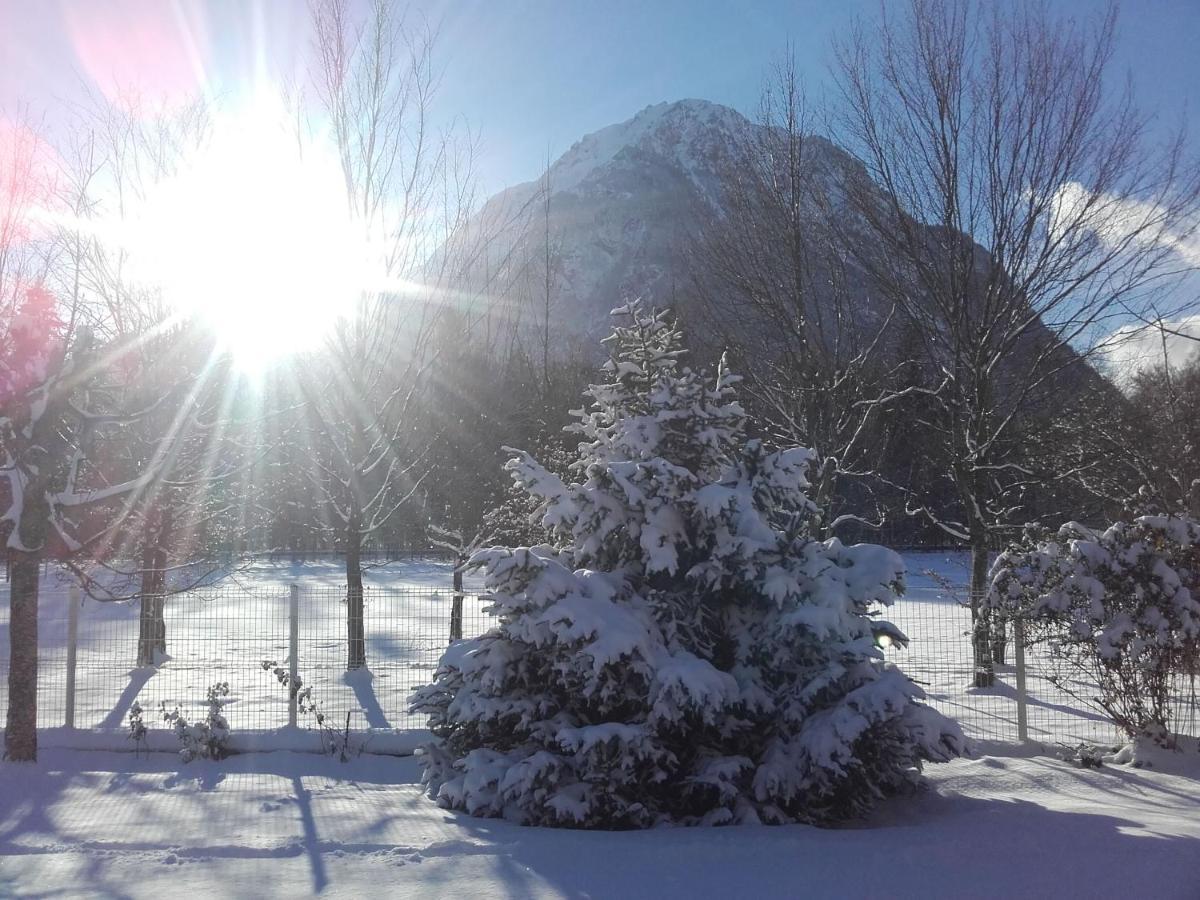 Chalet De L'Oisans 阿莱蒙 外观 照片